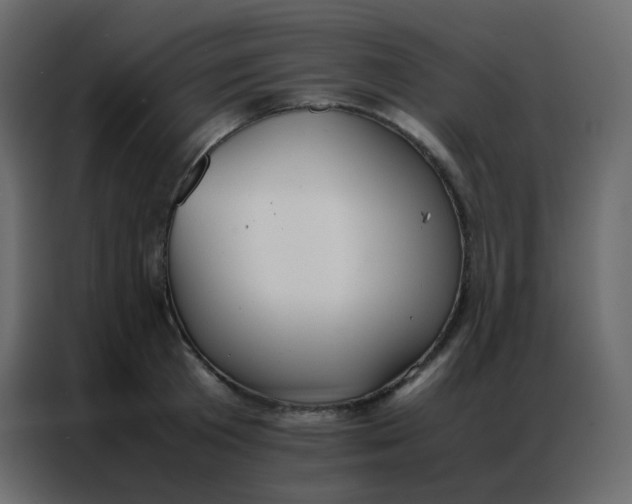 X0000086790801200705041547