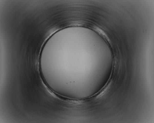 X0000086790802200705041547