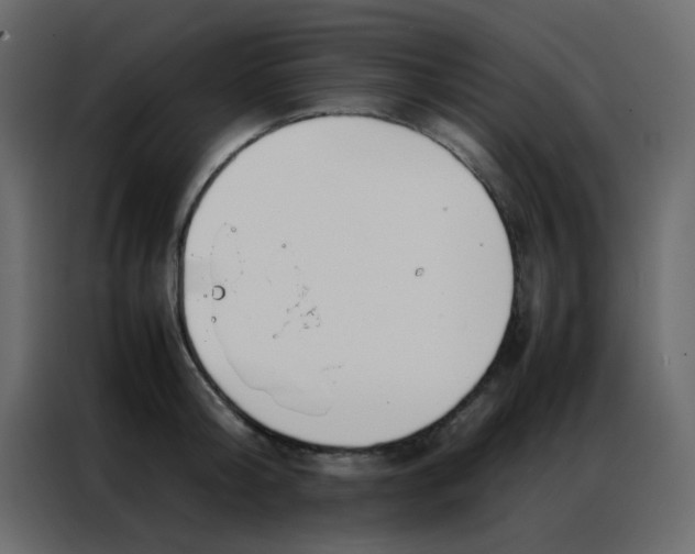 X0000086790804200705041547