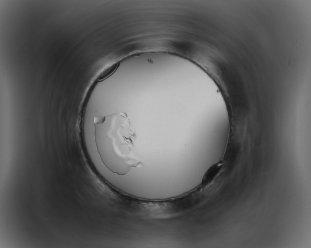 X0000086790805200705041547