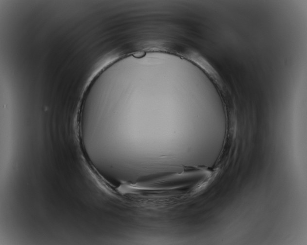 X0000086790806200705041547