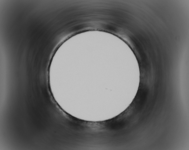 X0000086790807200705041547