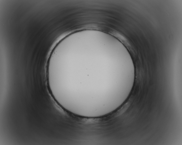 X0000086790808200705041547