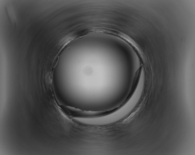 X0000086790809200705041547