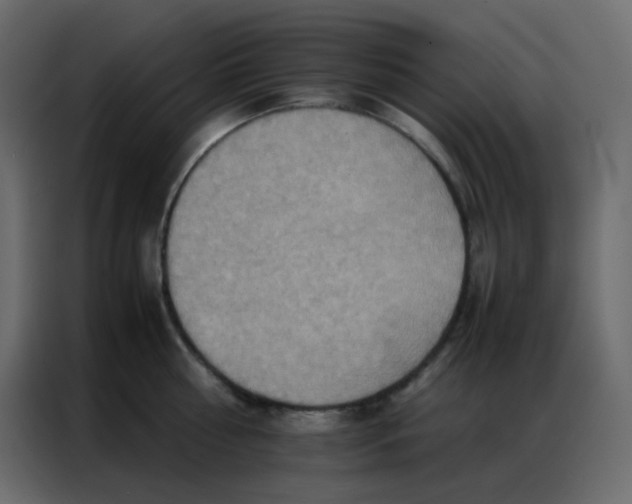 X0000086790810200705041547