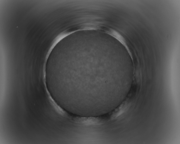 X0000086790811200705041547