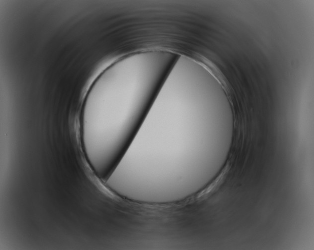 X0000086790812200705041547