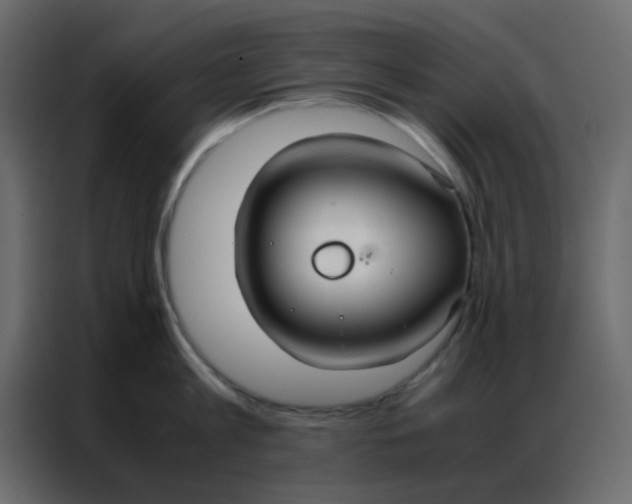 X0000086790813200705041547