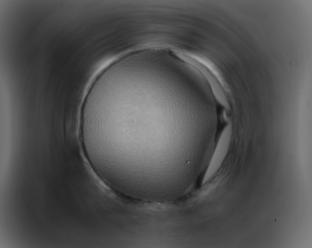 X0000086790815200705041547