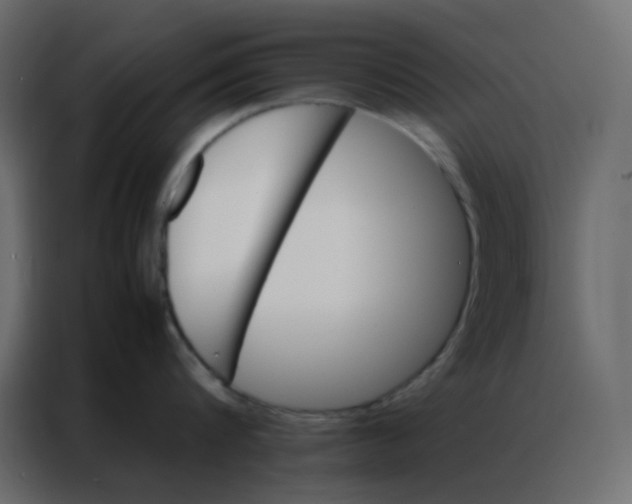 X0000086790816200705041547