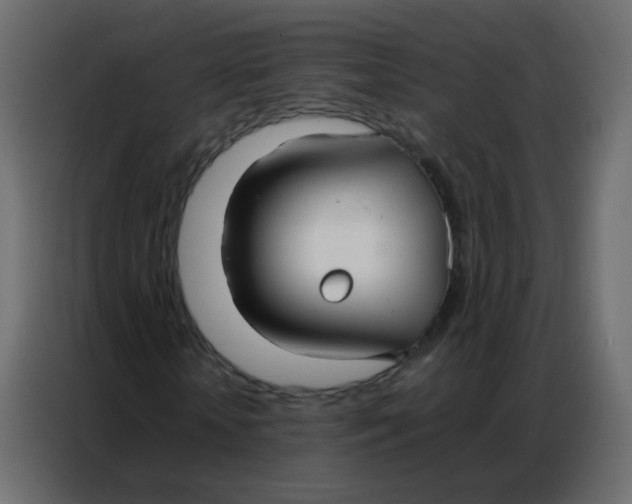 X0000086790818200705041546