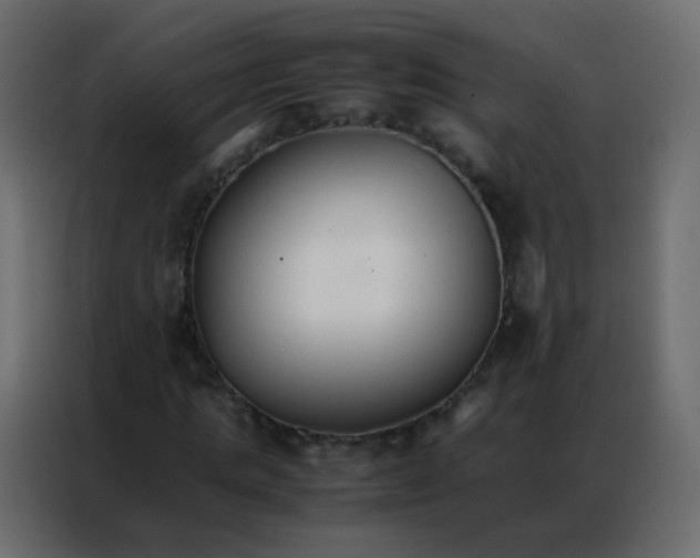 X0000086790821200705041546