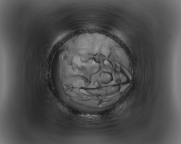 X0000086790823200705041546