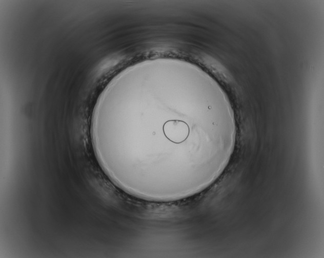 X0000086790824200705041546