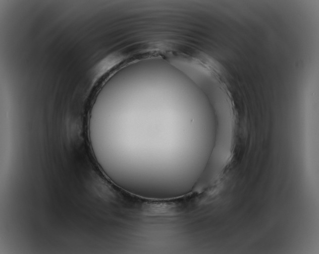 X0000086790826200705041546