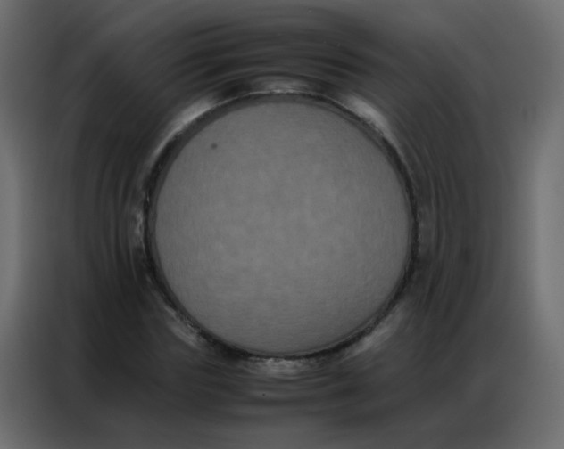 X0000086790827200705041546