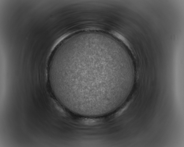 X0000086790829200705041546