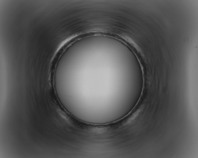 X0000086790830200705041546