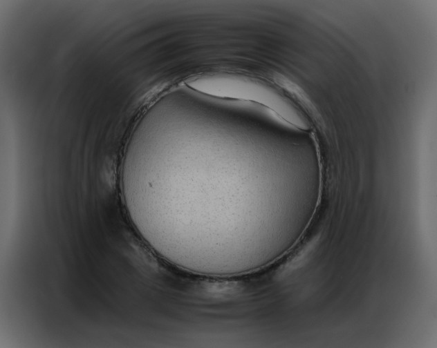 X0000086790833200705041546