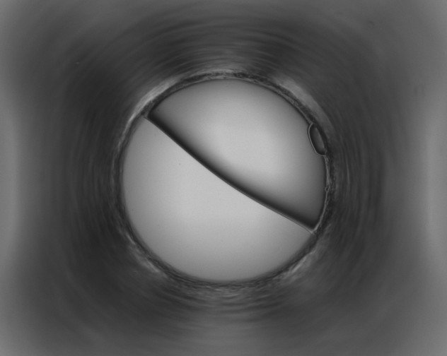 X0000086790834200705041546