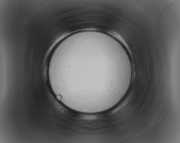 X0000086790835200705041546