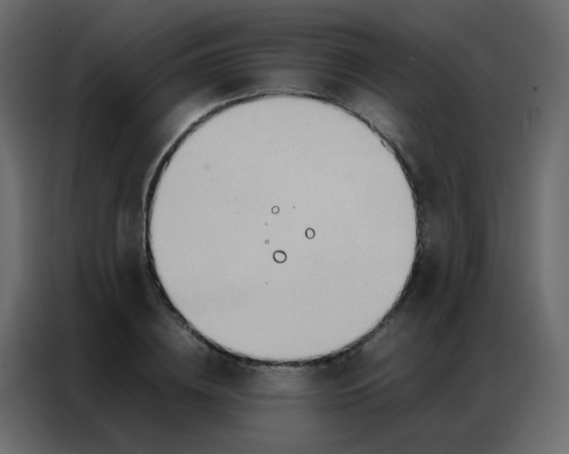 X0000086790836200705041546