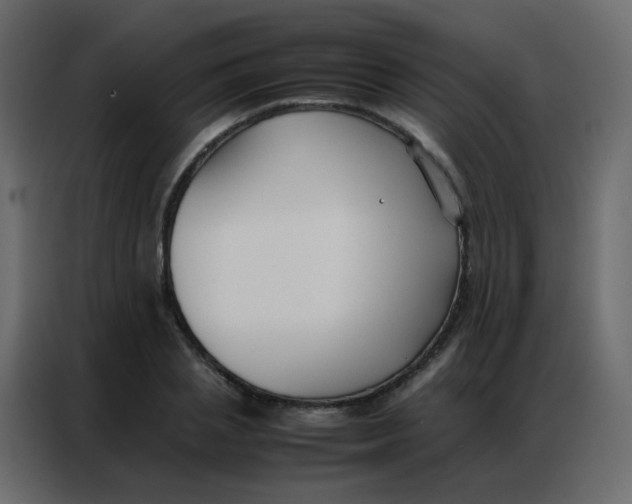 X0000086790837200705041546