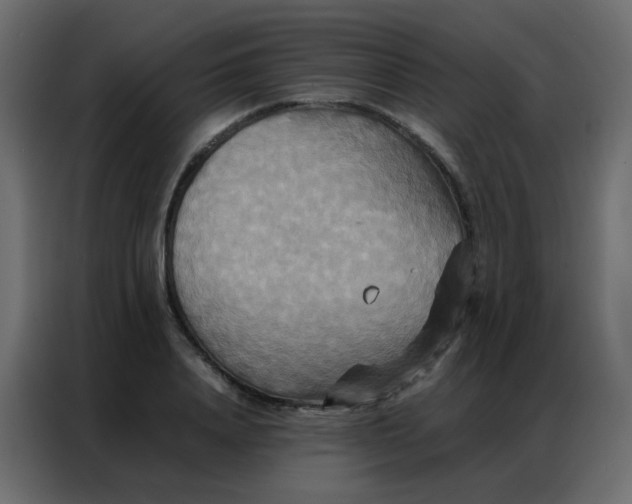 X0000086790840200705041546