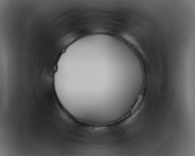 X0000086790841200705041546