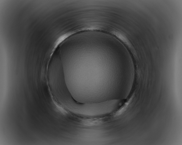 X0000086790842200705041547