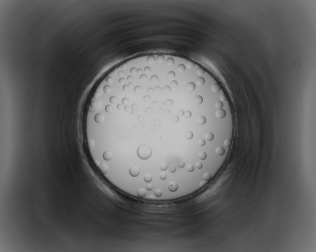 X0000086790843200705041547