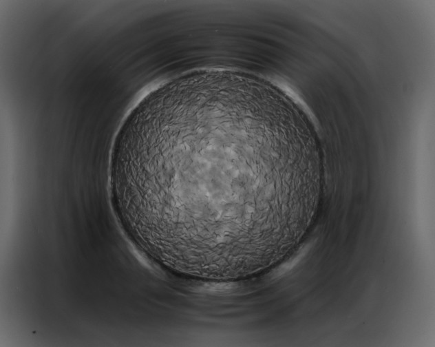 X0000086790845200705041547