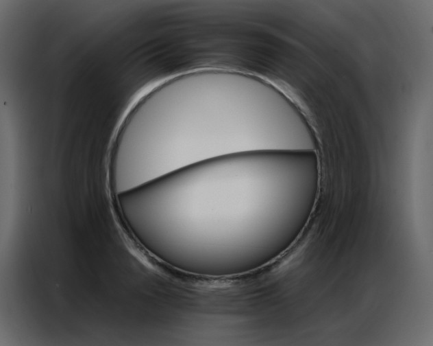 X0000086790846200705041547