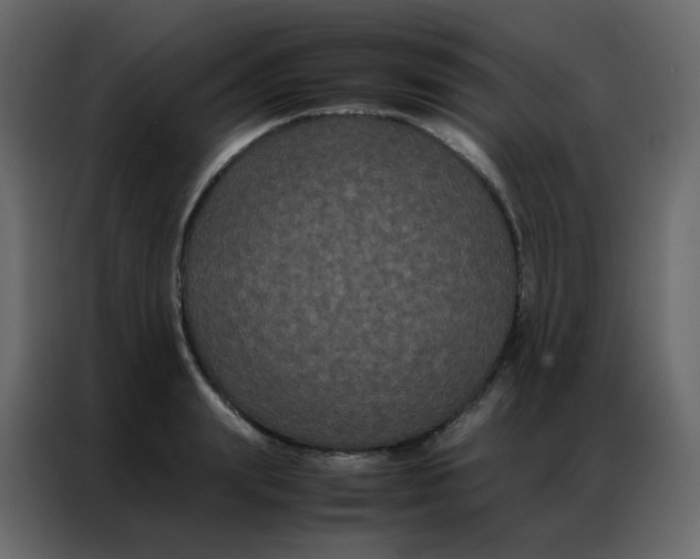 X0000086790847200705041547