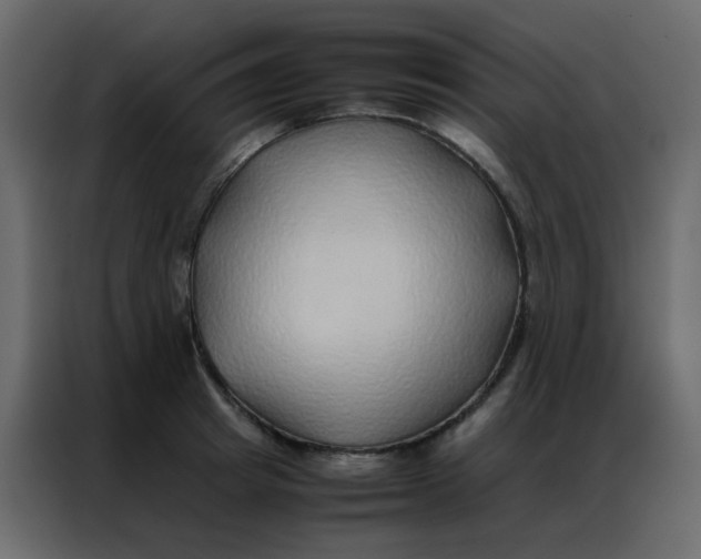 X0000086790849200705041547