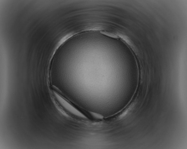 X0000086790850200705041547