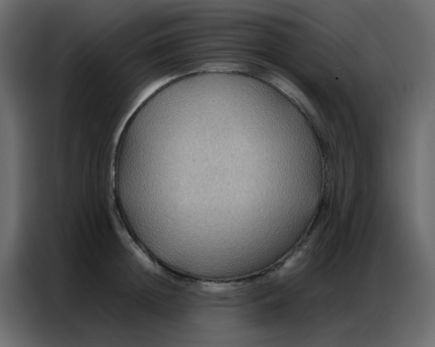 X0000086790852200705041547