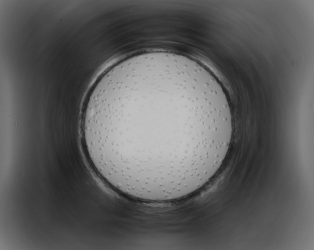 X0000086790853200705041547