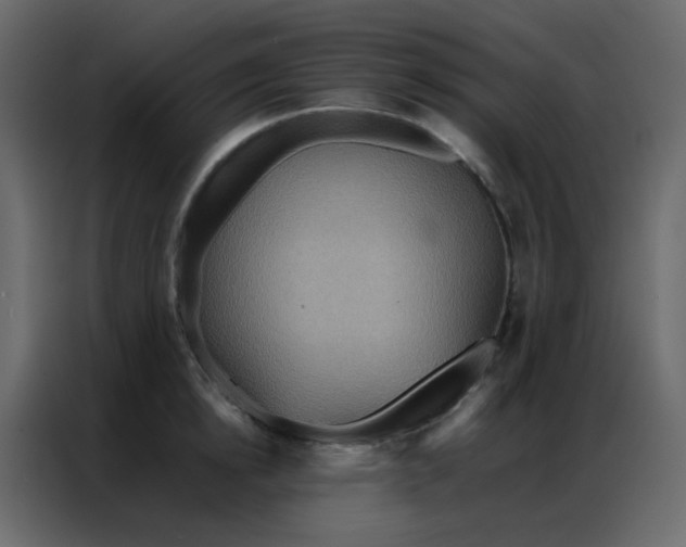 X0000086790854200705041547