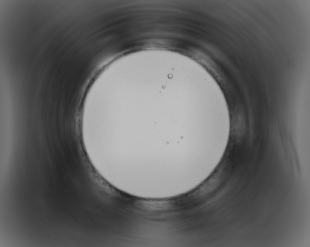 X0000086790856200705041547