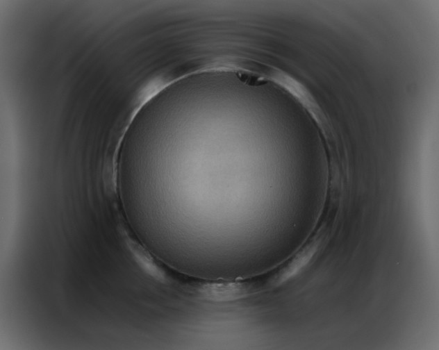 X0000086790858200705041547