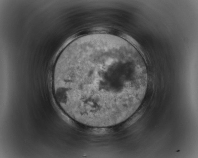 X0000086790859200705041547