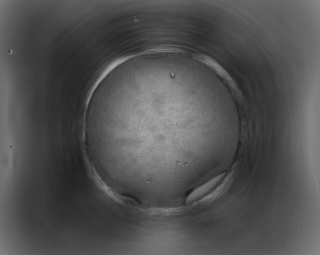 X0000086790860200705041547