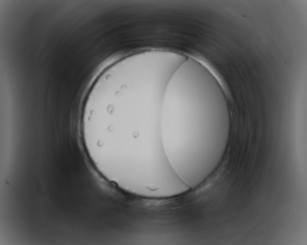 X0000086790861200705041547