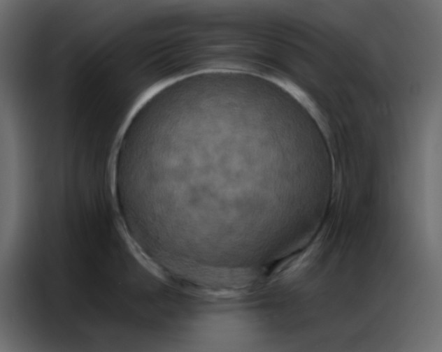 X0000086790862200705041547