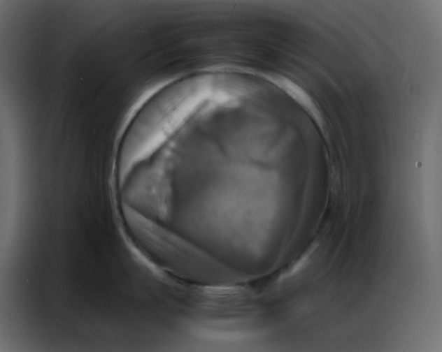 X0000086790863200705041547