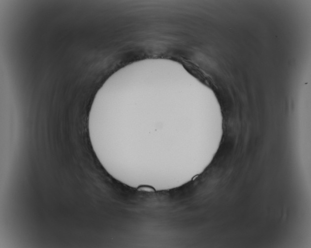 X0000086790865200705041546