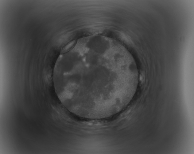 X0000086790867200705041546