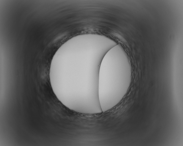 X0000086790869200705041546