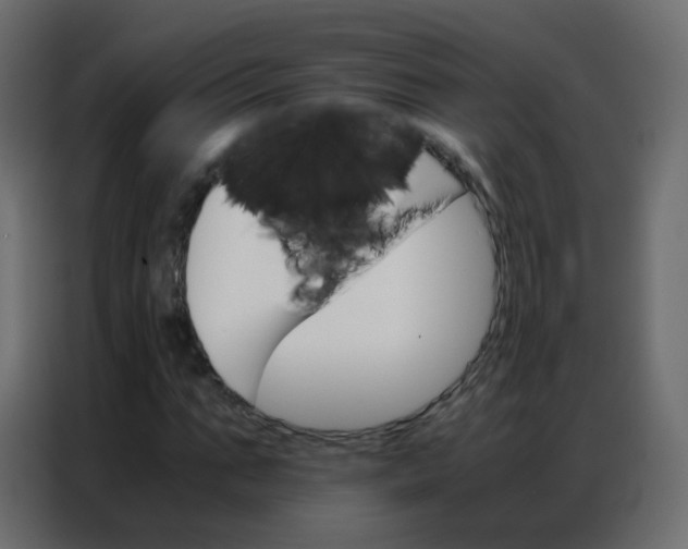 X0000086790871200705041546